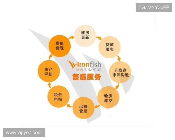 聚焦诺维奇俱乐部的历史传承与未来发展前景全面深度探索研究趋势