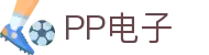PP电子·「中国」官方网站